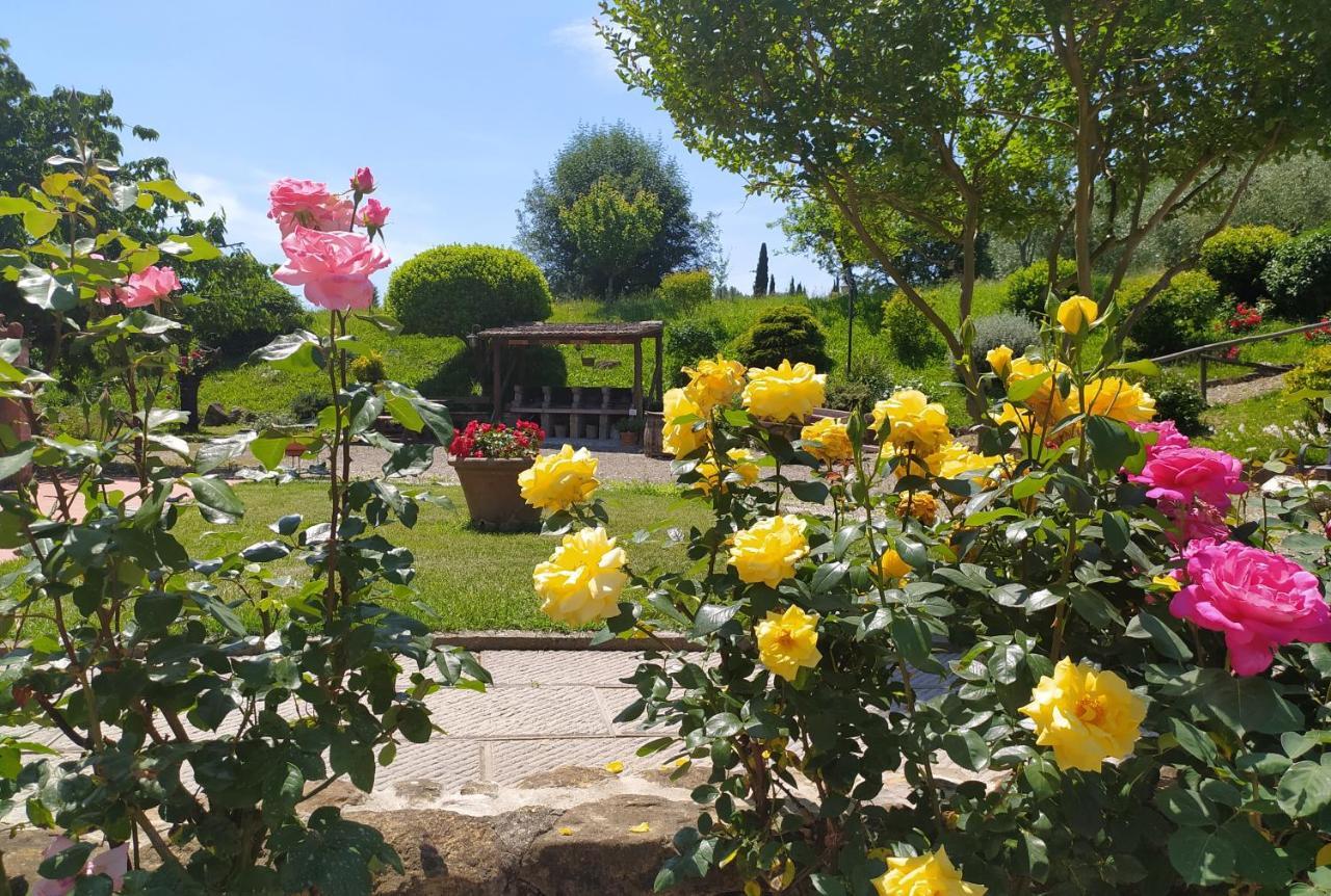 Casa Elisa Apartment มอนตาโยเน ภายนอก รูปภาพ